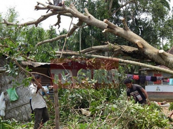 Weather change hits Northern Tripura : Atleast 4000 houses affected Weather change hits Northern Tripura : Atleast 4000 houses affected